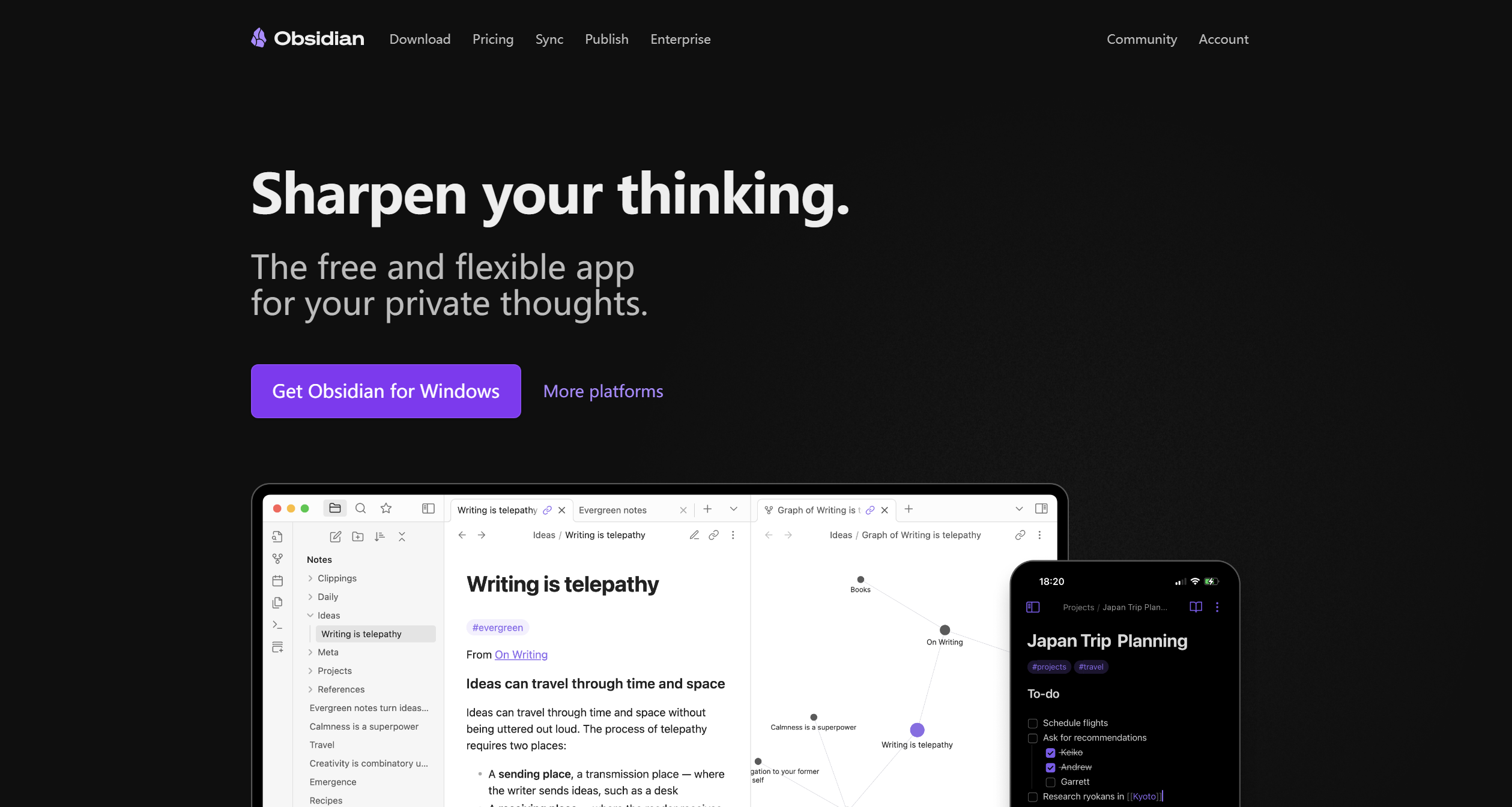 Obsidian-Illustration- Obsidian