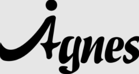 Agnes AI