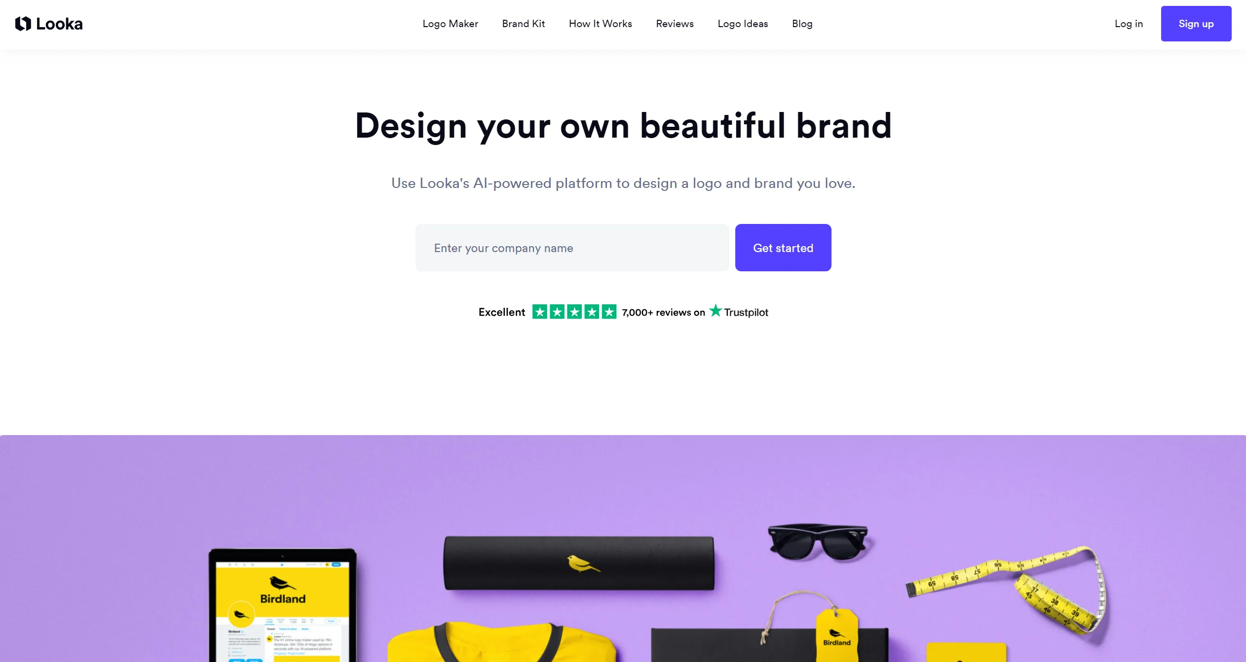 Looka-Illustration- Looka