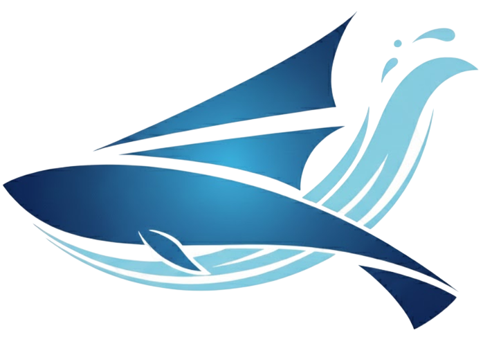 “飞鱼-1.0”海-气双向耦合大模型