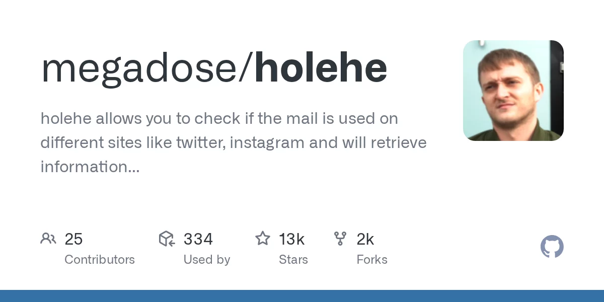 Holehe 网站预览
