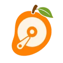 MangoDisk