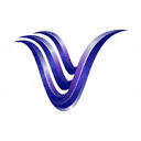 Videm
