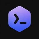 Codex Relay