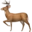 DeerFlow 2.0