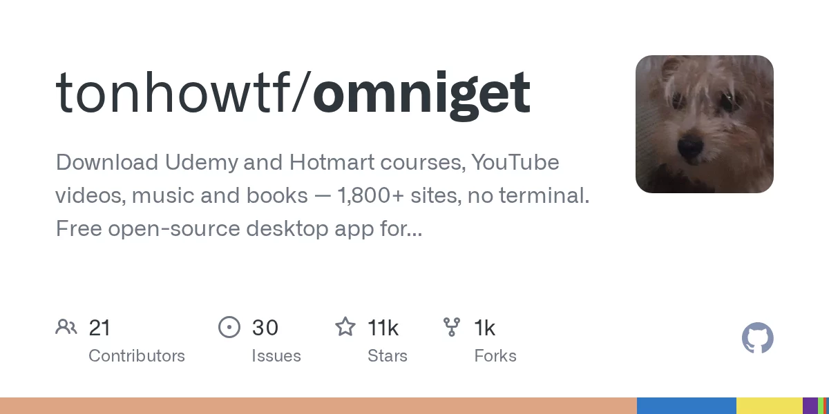 OmniGet 网站预览