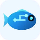 MiroFish