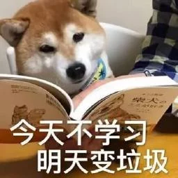 Research Solution Supervisor：监督 AI 是否真正推进研究的研究型 Skill