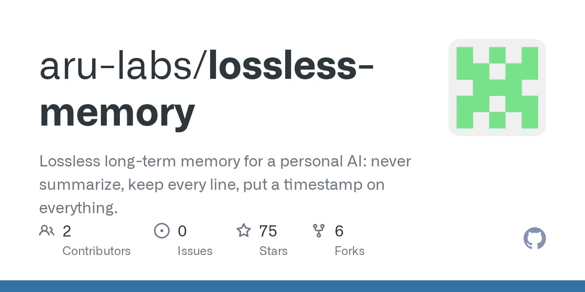 Lossless Memory 网站预览