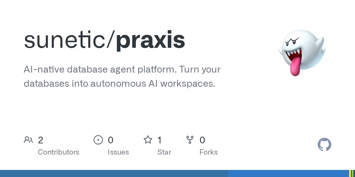 Praxis 网站预览