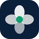 Blumify