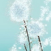 绿洲清泉