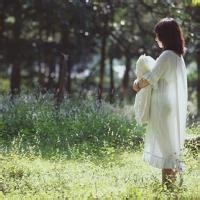 风铃草时光