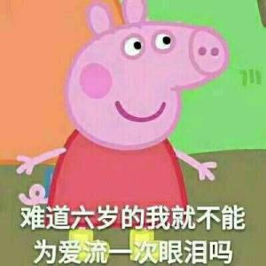 细心观察家