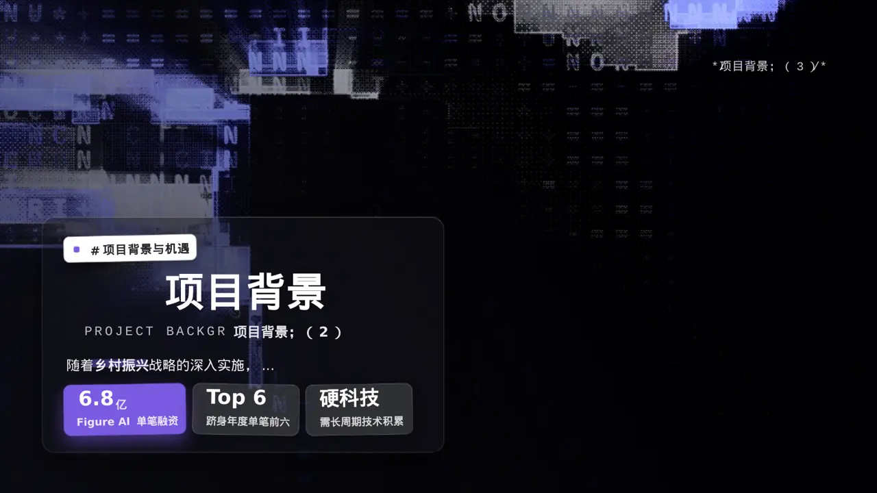 乡村创业项目参赛汇报PPT模板（黑白极简风） 第5页预览