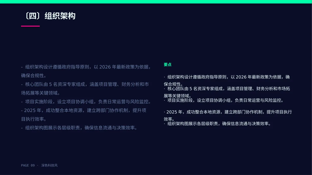 政府扶持项目立项申报 PPT模板 第9页预览