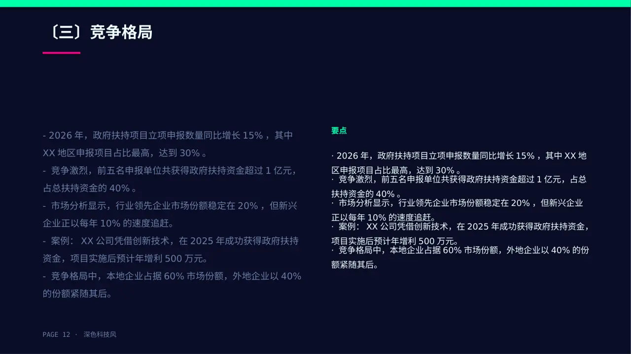 政府扶持项目立项申报 PPT模板 第12页预览