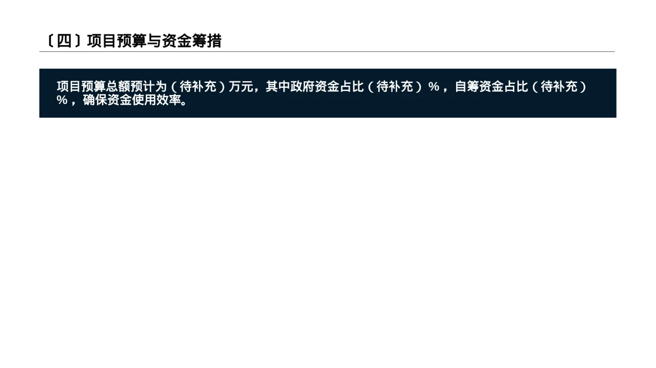 政府扶持项目立项申报 PPT模板 第5页预览