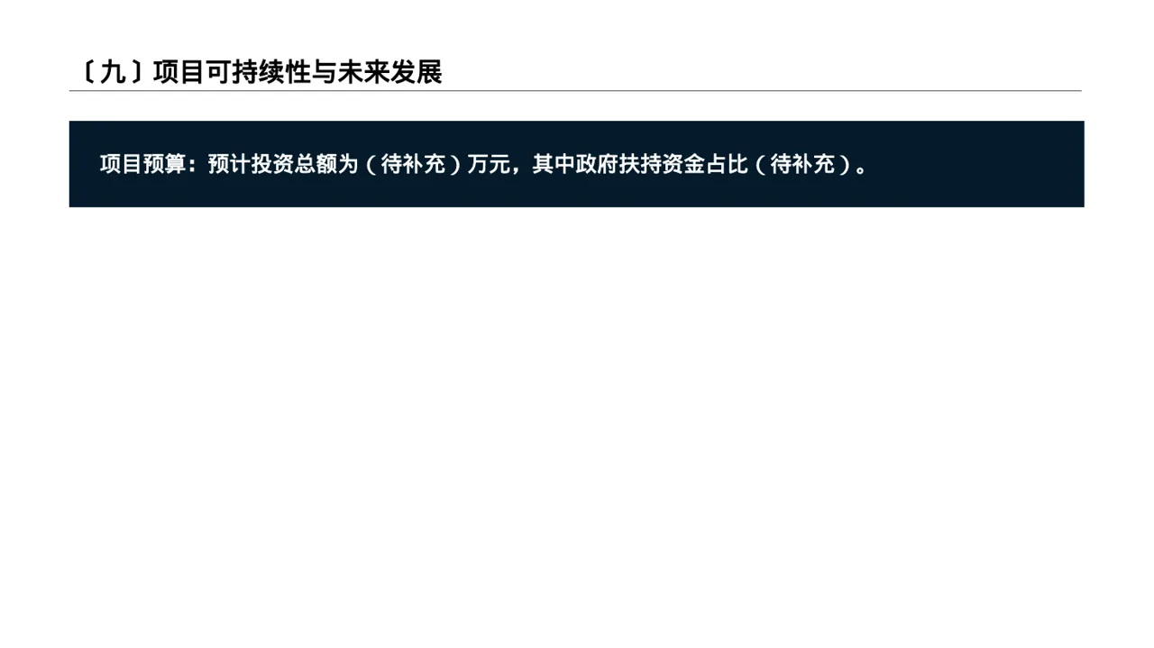 政府扶持项目立项申报 PPT模板 第10页预览