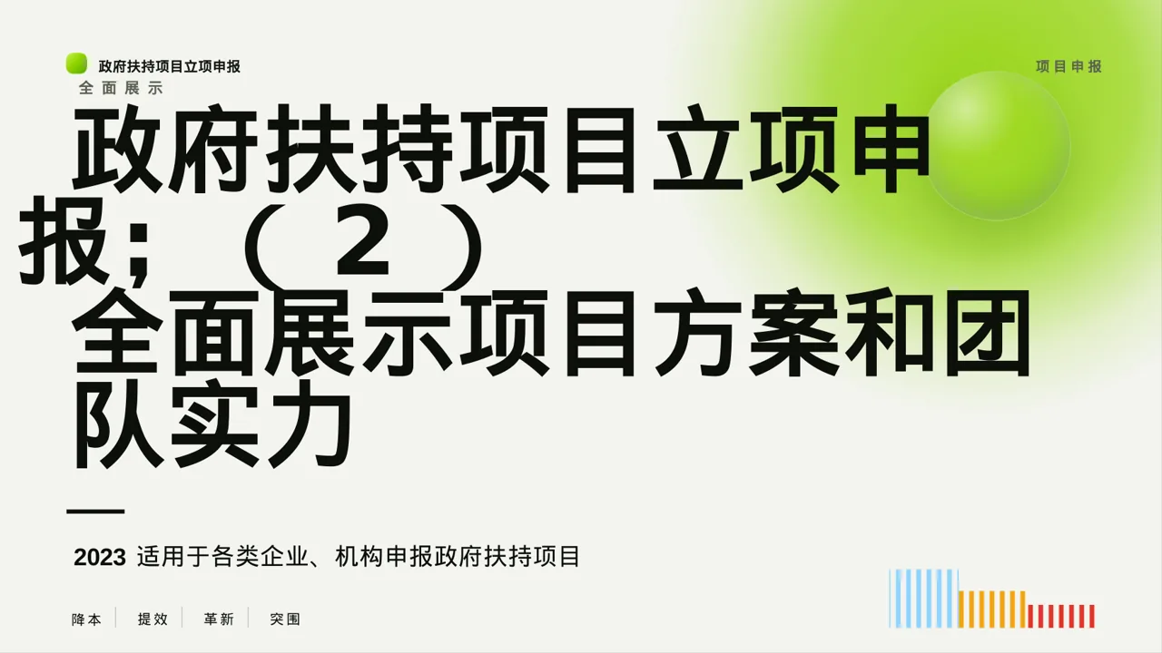 政府扶持项目立项申报 PPT模板