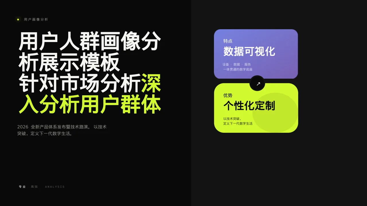 用户人群画像分析展示模板 PPT模板
