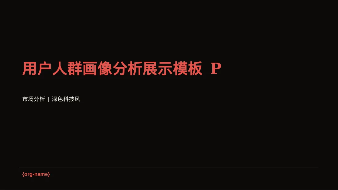 用户人群画像分析展示模板 PPT模板