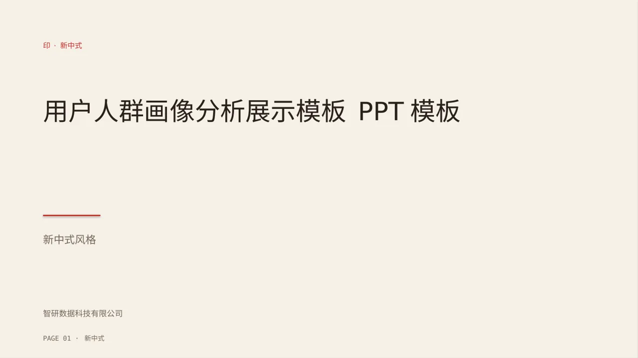 用户人群画像分析展示模板 PPT模板