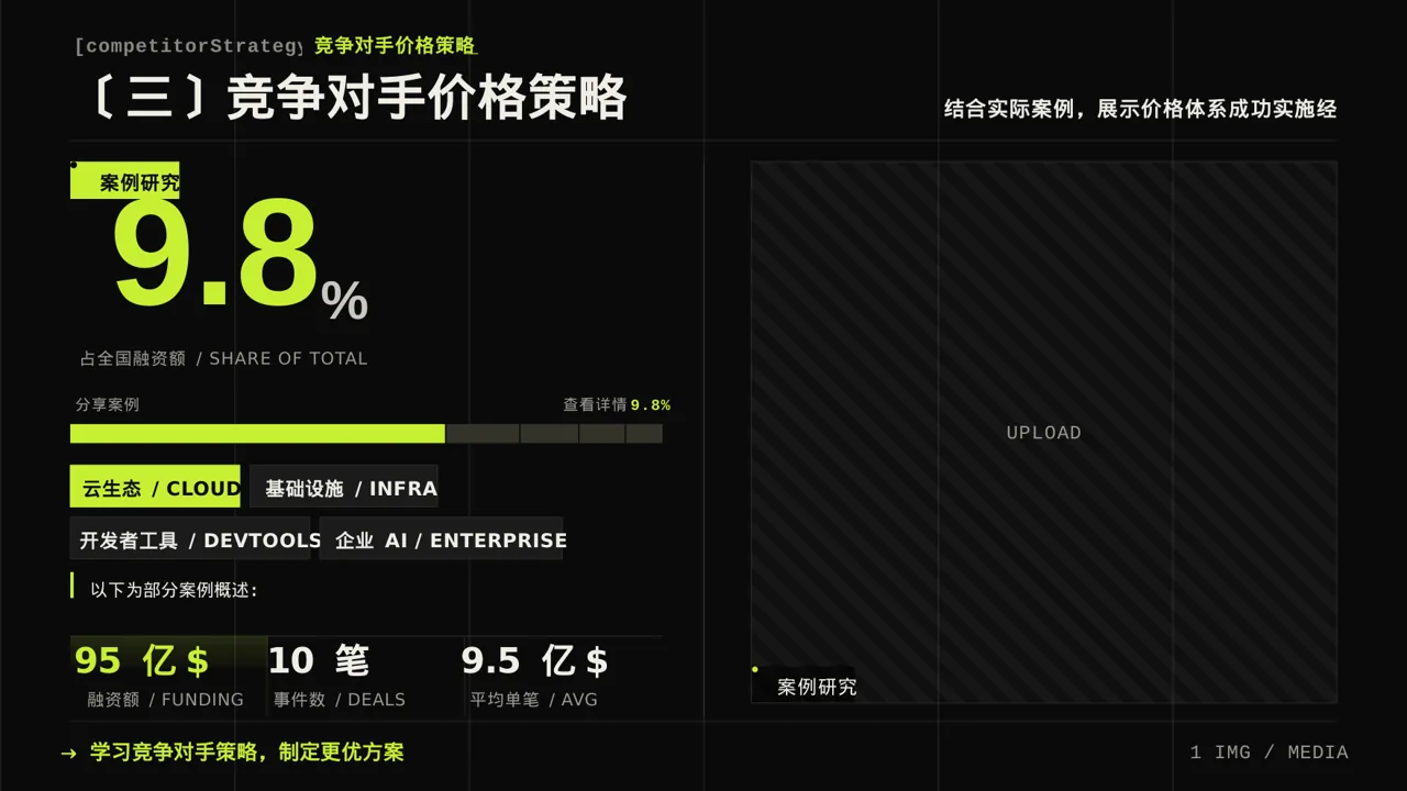 价格体系市场调研报告 PPT模板 第7页预览