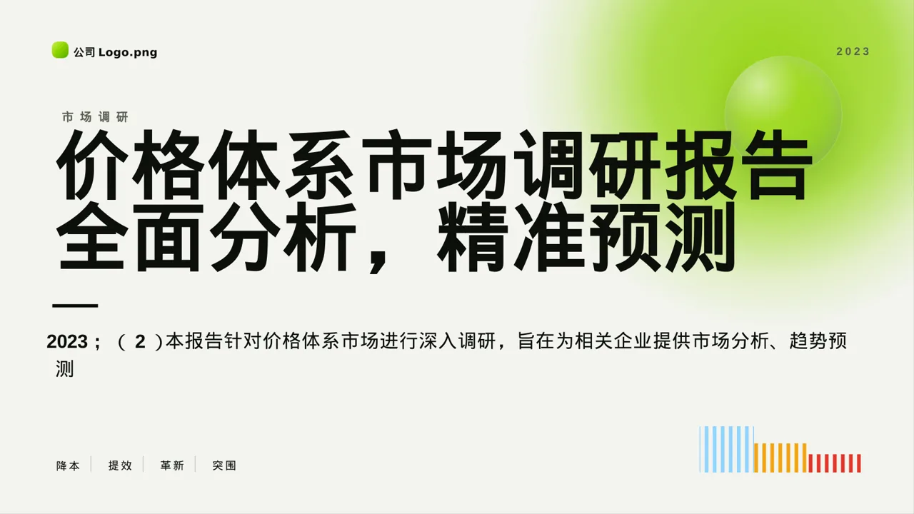 价格体系市场调研报告 PPT模板