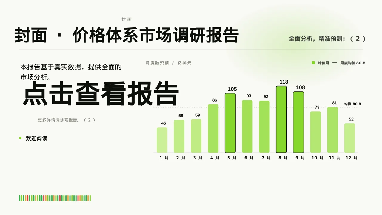 价格体系市场调研报告 PPT模板 第3页预览
