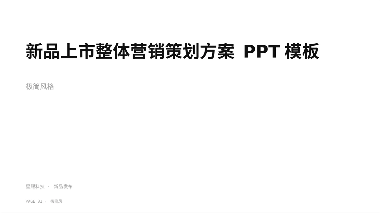新品上市整体营销策划方案 PPT模板